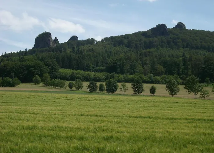 Panorama Im Hochsauerland 公寓