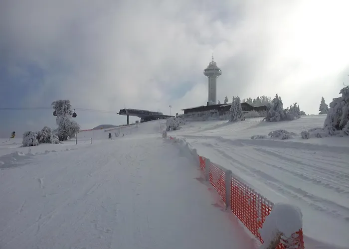 Panorama Im Hochsauerland 公寓