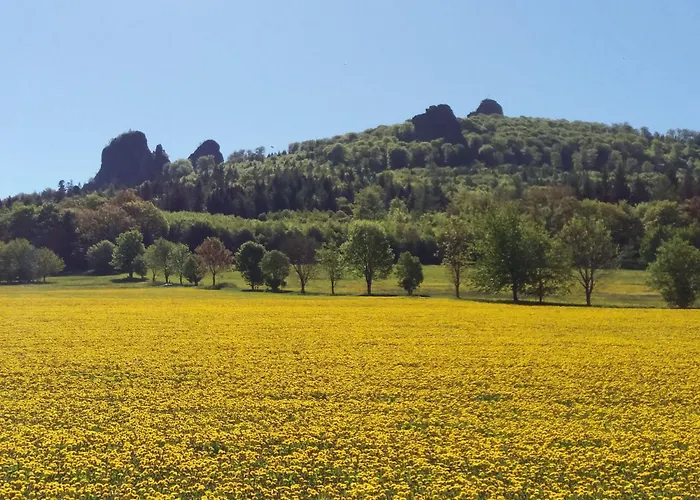 Panorama Im Hochsauerland 公寓 *