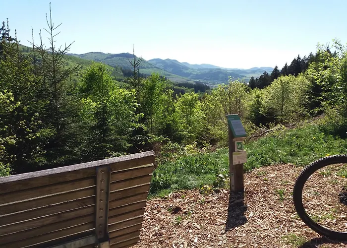 Panorama Im Hochsauerland 奥尔斯贝格