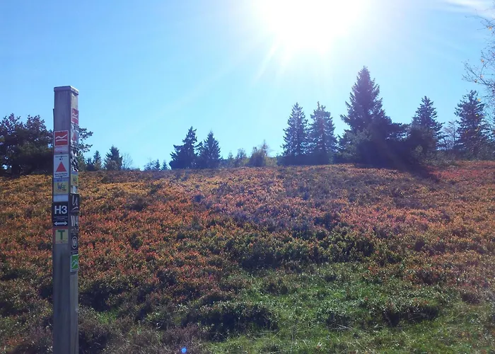 Panorama Im Hochsauerland 公寓